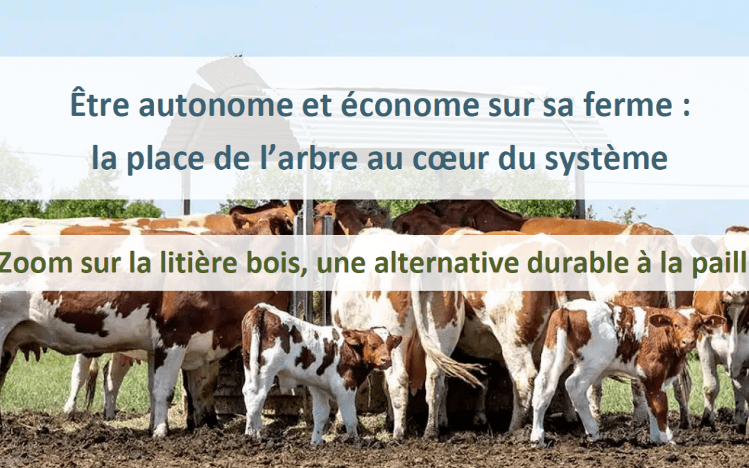 Rencontre technique « Être autonome et économe sur sa ferme : la place de l’arbre au coeur du système »