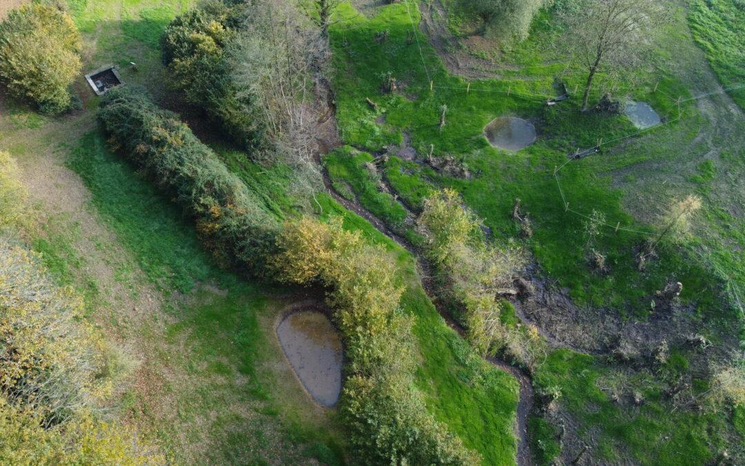 Restauration du ruisseau du Graau – Andrezé (Beaupréau-en-Mauges)